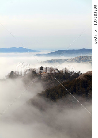 冬の雲海と備中松山城（天空の山城）25142 137683899