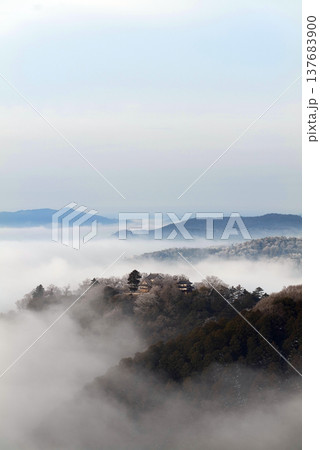 冬の雲海と備中松山城(天空の山城)25144 冬の雲海と備中松山城(天空の山城)25144 137683900