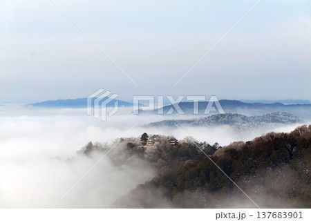 冬の雲海と備中松山城(天空の山城)25147 冬の雲海と備中松山城(天空の山城)25147 137683901