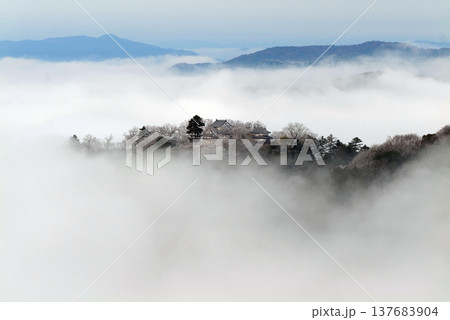 冬の雲海と備中松山城(天空の山城)25166 冬の雲海と備中松山城(天空の山城)25166 137683904