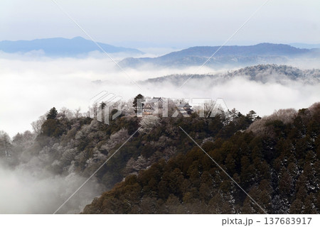 冬の雲海と備中松山城(天空の山城)25230 冬の雲海と備中松山城(天空の山城)25230 137683917