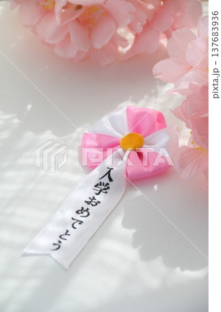桜の花びらと入学式イメージ 桜の花びらと入学式イメージ 137683936