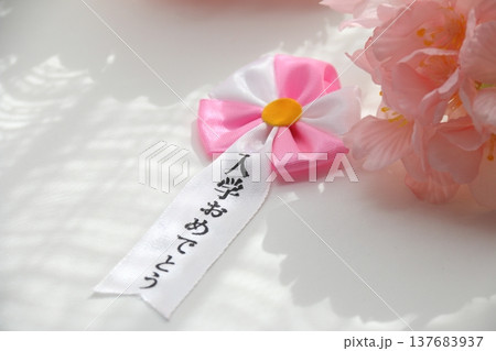 桜の花びらと入学式イメージ 桜の花びらと入学式イメージ 137683937