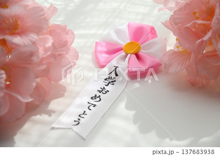 桜の花びらと入学式イメージ 桜の花びらと入学式イメージ 137683938