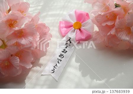 桜の花びらと入学式イメージ 桜の花びらと入学式イメージ 137683939
