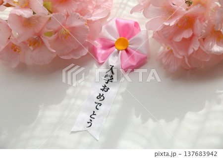 桜の花びらと入学式イメージ 137683942