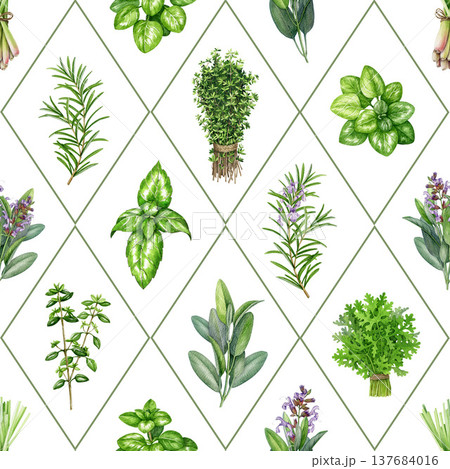 Watercolor seamless pattern from thyme, lemongrass, sage, rosemary, marjoram, basil. Hand drawn culinary herbs botanical illustration spice plants background for kitchen, packaging and textile design. 137684016