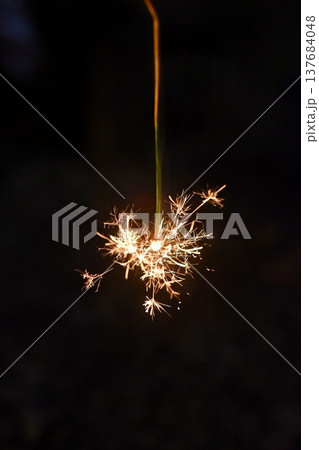 手持ち花火 線香花火 散りゆく火花 137684048