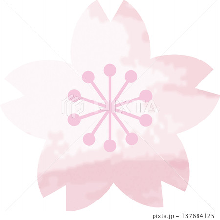 水彩の桜の花のイラスト。手描きのサクラ、春の装飾や和のデザイン、飾り、装飾、ロゴ、アイコン、素材。 水彩の桜の花のイラスト。手描きのサクラ、春の装飾や和のデザイン、飾り、装飾、ロゴ、アイコン、素材。 137684125