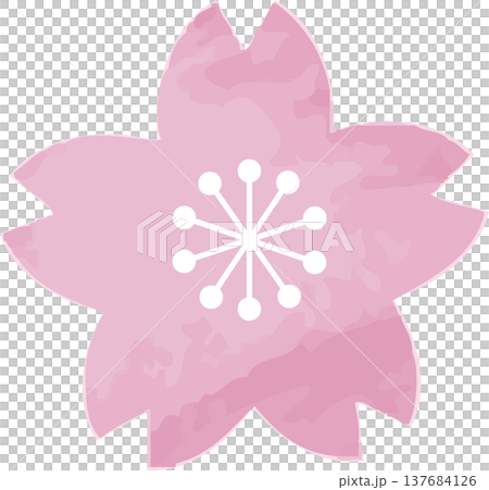 Watercolor illustration of cherry blossoms. Hand-drawn sakura, spring decoration, Japanese design, ornament, decoration, logo, icon, material. Watercolor illustration of cherry blossoms. Hand-drawn sakura, spring decoration, Japanese design, ornament, decoration, logo, icon, material. 137684126