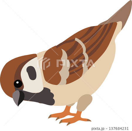 Small sparrow cartoon bird with brown feathers and soft tones 137684231