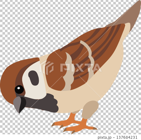 Small sparrow cartoon bird with brown feathers and soft tones 137684231