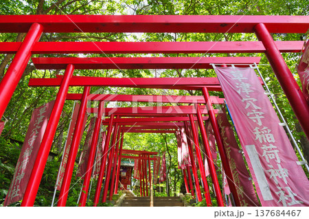 草津穴守稲荷神社（群馬県吾妻郡草津町 西ノ河原公園） 137684467