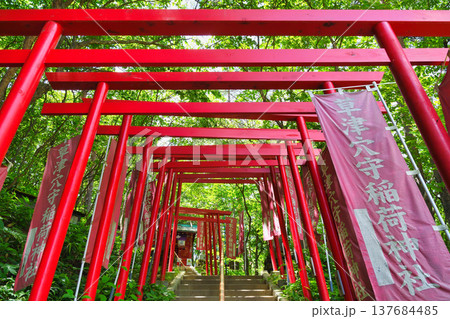 草津穴守稲荷神社(群馬県吾妻郡草津町 西ノ河原公園) 草津穴守稲荷神社(群馬県吾妻郡草津町 西ノ河原公園) 137684485