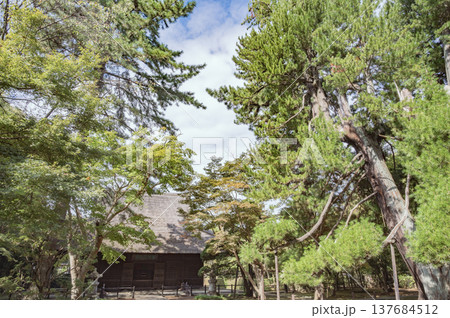 埼玉 平林寺 埼玉 平林寺 137684512