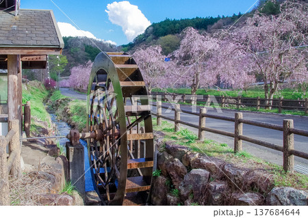 栃木県茂木町 十石河公園 道の駅もてぎ周辺 栃木県茂木町 十石河公園 道の駅もてぎ周辺 137684644