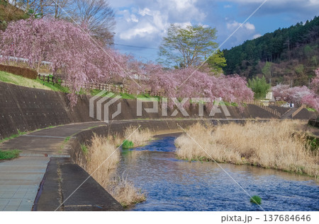 栃木県茂木町 十石河公園 道の駅もてぎ周辺 栃木県茂木町 十石河公園 道の駅もてぎ周辺 137684646