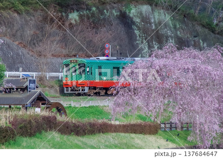 栃木県茂木町 十石河公園 道の駅もてぎ周辺 栃木県茂木町 十石河公園 道の駅もてぎ周辺 137684647