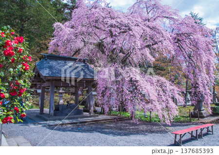 福島県白河市 南湖神社 福島県白河市 南湖神社 137685393