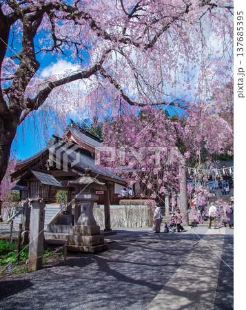 福島県白河市 南湖神社 福島県白河市 南湖神社 137685395
