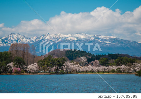 福島県白河市 南湖公園の春 福島県白河市 南湖公園の春 137685399