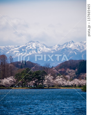 福島県白河市 南湖公園の春 137685405