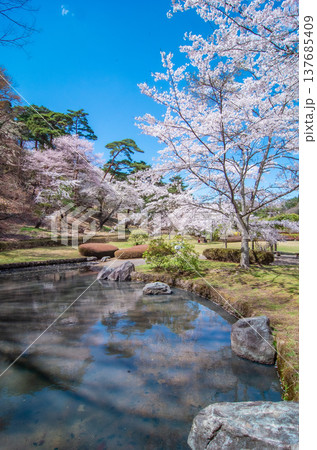 福島県白河市 南湖公園の春 福島県白河市 南湖公園の春 137685409