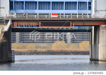 芝川水門_26 137685485