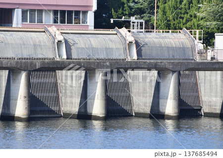 芝川水門と新芝川排水機場_35 137685494