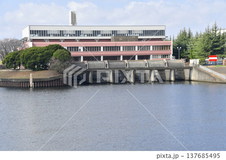 芝川水門と新芝川排水機場_36 137685495