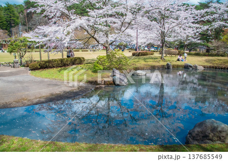 福島県白河市 南湖公園の春 福島県白河市 南湖公園の春 137685549