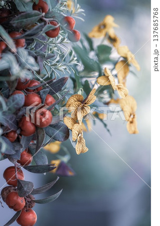 茨城フラワーパーク 137685768