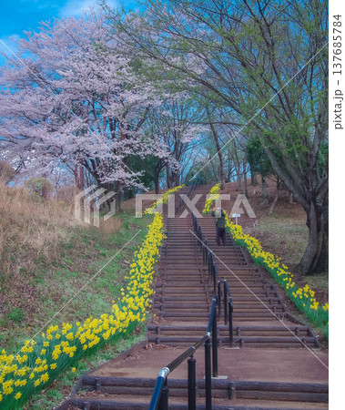 栃木県那須塩原市 春の東那須野公園 栃木県那須塩原市 春の東那須野公園 137685784