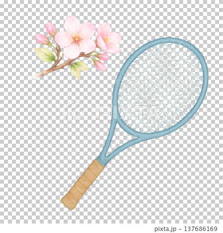 櫻花與網球拍的水彩插畫（運動相關素材） 137686169