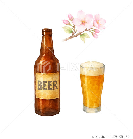 桜の花とビールの水彩イラスト 春の乾杯素材 137686170