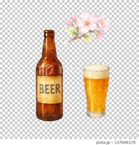 桜の花とビールの水彩イラスト 春の乾杯素材 137686170