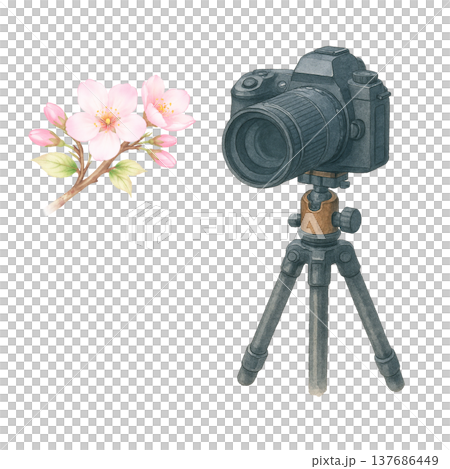 Watercolor illustration of cherry blossoms and a camera (photography material) 137686449