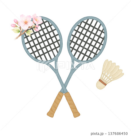 桜の花とバドミントンラケットの水彩イラスト スポーツ素材 137686450