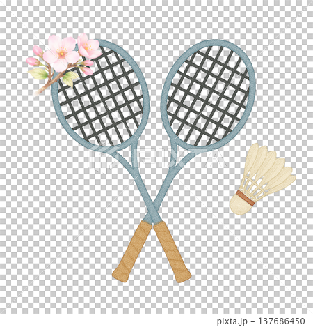 桜の花とバドミントンラケットの水彩イラスト スポーツ素材 137686450