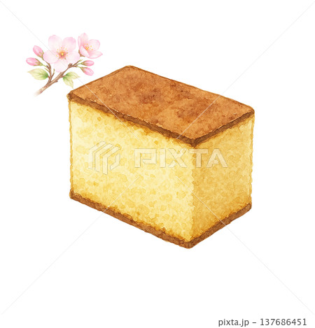 桜の花とカステラの水彩イラスト 和スイーツ素材 137686451