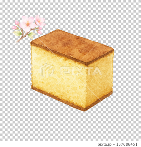 桜の花とカステラの水彩イラスト 和スイーツ素材 137686451