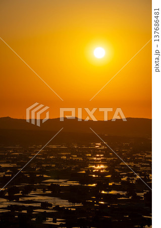 【初夏の絶景】初夏の砺波平野・散居村の夕暮れと水田のリフレクション【富山県】 137686481