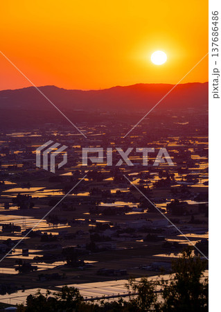 【初夏の絶景】初夏の砺波平野・散居村の夕暮れと水田のリフレクション【富山県】 137686486