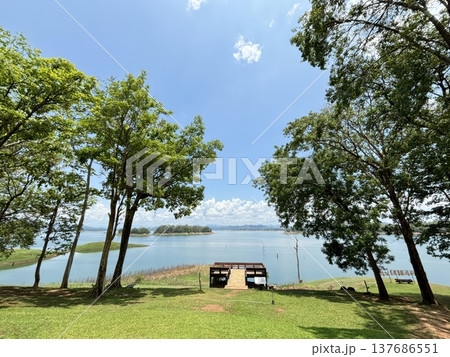 Scenic View of a Calm Lake with a Wooden Viewpoint Platform and Lush Green Trees Scenic View of a Calm Lake with a Wooden Viewpoint Platform and Lush Green Trees 137686551