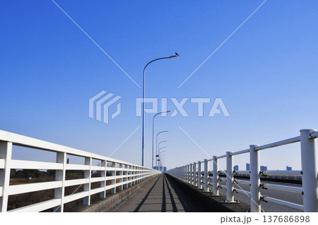 秋ヶ瀬橋の歩道_03 137686898