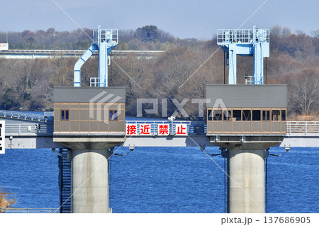 秋ヶ瀬取水堰_07 137686905