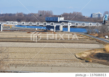 秋ヶ瀬取水堰_15 秋ヶ瀬取水堰_15 137686913