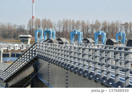 秋ヶ瀬取水堰_31 137686930