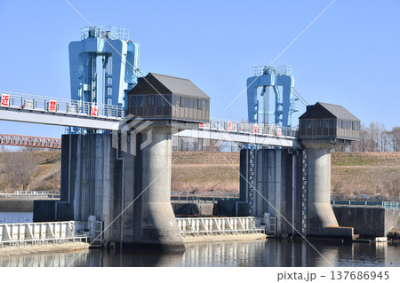 秋ヶ瀬取水堰_47 137686945