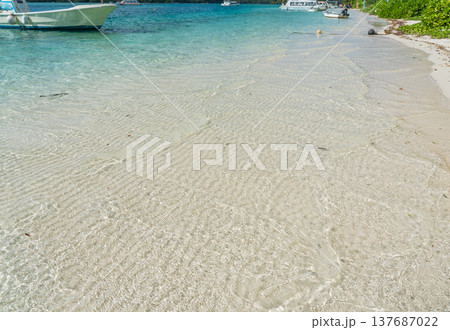 夏の沖縄県石垣島に広がる美しい風景 夏の沖縄県石垣島に広がる美しい風景 137687022